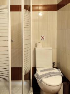 a bathroom with a toilet and a glass shower at Fotmar in Plakias