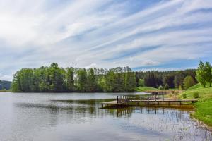 a dock on a lake with trees in the background at Nijolės sodyba in Aukštadvaris +8 photos