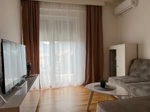 a living room with a couch and a television at Gargovic Apartments in Budva