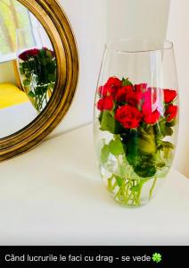 un vase rempli de roses rouges assis à côté d'un miroir dans l'établissement Apartament Lux Crialy - self check-in, à Timişoara