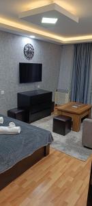 une chambre d'hôtel avec deux lits et une télévision dans l'établissement Borjomi Likani Apartment, à Bordjomi 6 autres photos