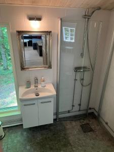 a bathroom with a sink and a shower with a mirror at Blueberry Hill in Skånes Fagerhult