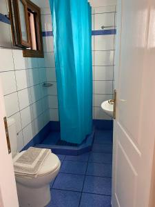 baño con aseo y cortina de ducha azul en Anarrousa Studios & Apartments, en Evdilos