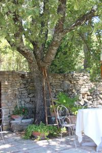 Gallery image of La Petite Auberge in Tourtour +51 photos