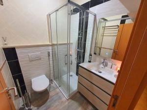 法魯的住宿－Casa da Vera，带淋浴、卫生间和盥洗盆的浴室