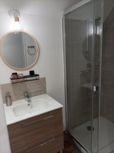 uma casa de banho com um lavatório e um chuveiro com um espelho. em La Cressonnière 56 em Missiriac