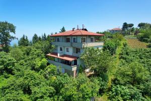 an aerial view of a building in the trees at Heaven Twın Villa in Zafanos