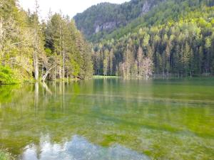 Pokrajina v okolici razkošnega šotora