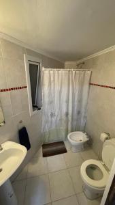 uma casa de banho com um WC, um lavatório e um chuveiro em Departamento Plumerillo 2 personas em Paraná