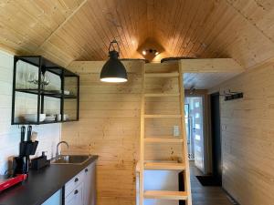 a tree house with a ladder in a kitchen at Domek pod borówką in Staniszów