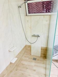 uma casa de banho com um chuveiro e uma porta de vidro em Urban Sejour - Hyper Center em Liège