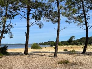 a group of pine trees on a beach at Le p'tit canaulais - Logement entier - rez de jardin - paisible in Lacanau