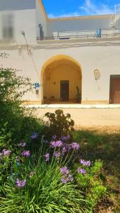 Salento Houses & Idro Suites في ناردو: مدخل لمبنى به زهور أرجوانية