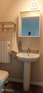 a bathroom with a sink and a mirror and a toilet at Dungarvan Studio in Kilkenny