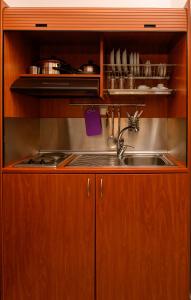 eine Küche mit einem Waschbecken in einem Holzschrank in der Unterkunft Villa Andromeda in Amorgós