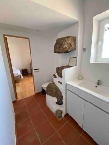 bagno con lavandino, servizi igienici e specchio di Freire´s Family House a Évora