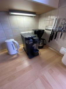 eine Küchentheke mit Kaffeemaschine und Mixer in der Unterkunft Eichendorff Garten Apartment, zentrumsnah, in direkter Nähe zur Universität in Bayreuth + 18 Fotos