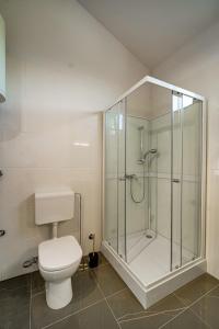 a bathroom with a toilet and a glass shower at Apartment Hana in Zambratija