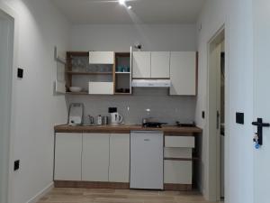 Kuchyň nebo kuchyňský kout v ubytování Hillside Residence Crikvenica