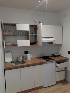Kuchyň nebo kuchyňský kout v ubytování Hillside Residence Crikvenica