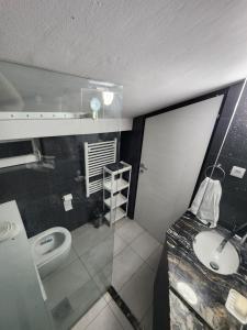 a bathroom with a sink and a toilet at Professor's Krunska Studio in Belgrade
