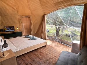 1 dormitorio con 1 cama en una tienda de campaña en Manna Gea Glamping Domes, en Vonitsa