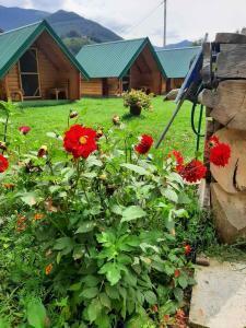 a garden with red flowers in front of a house at Konaci Očeva Zemlja in Mojkovac