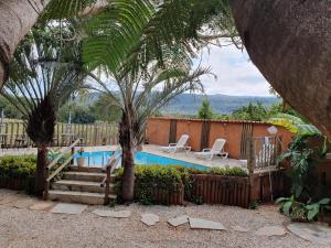 a swimming pool with two palm trees and two chairs at Pousada Recanto dos Leões in Pirenópolis