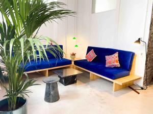 a living room with a blue couch and a plant at Casa Piedra Agaete in Agaete +39 photos
