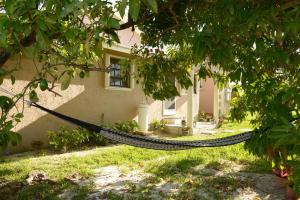 a hammock in the yard of a house at Cottage by Jubilee in Freeport
