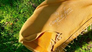 a baseball glove sitting on top of the grass at Campo Di Fiori, Maisons de Charme in Calvi