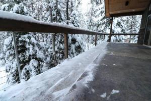 Magic McCall Cabin and Studio for Larger Groups wi en invierno