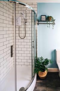 a shower in a bathroom with a potted plant at Principality View Apartment Two, by Solace Stays in Cardiff