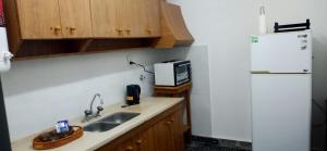 uma cozinha com um lavatório e um frigorífico em Casa de Julia em Tunuyán