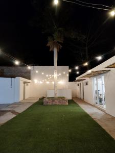 een palmboom in het midden van een gebouw met lichten bij San Marcos Hotel Guaymas in Guaymas