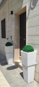 two large white planters sitting outside of a building at Apulia Modern apartment - Bari Airport in Bitonto