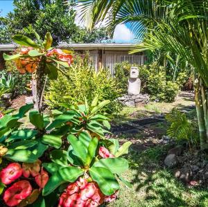 安加罗阿Hare Isolate的种植了许多水果和植物的花园