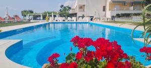 Gallery image of Hotel Cristina in Diamante