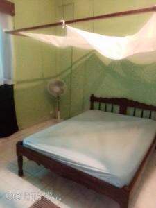 Bett mit Baldachin in einem Zimmer in der Unterkunft Appartement F2 centre ville sécurisé in Diego Suarez