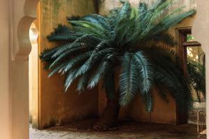 Fotografie z fotogalerie ubytování Malabar Hill v destinaci Weligama