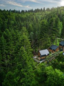 an aerial view of a cabin in a forest at Norway Cabins in Sinaia