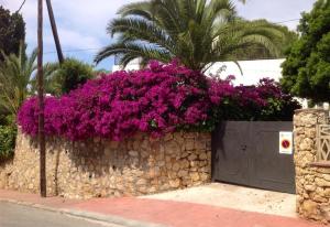 Vonkajšia záhrada v ubytovaní Holiday villa for rent in Tarragona