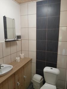 a bathroom with a toilet and a sink and a mirror at Pas danielius in Ramučiai +15 photos