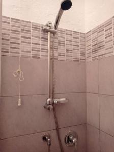 y baño con ducha con cabezal de ducha. en Casa Belvedere, en Belvedere Marittimo