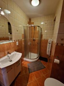 シュクラルスカ・ポレンバにあるWilla Gazdówka - Pokoje gościnneのバスルーム(シャワー、シンク付)