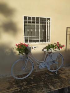 una bicicleta con flores en cestas estacionadas frente a una ventana en Antica Dimora "Lu suli, Lu mari, Lu jentu", en Monacizzo