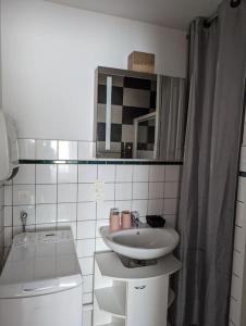 uma pequena casa de banho com um lavatório e um espelho em appartement plein centre Saint die des Vosges em Saint-Dié-des-Vosges