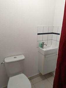 uma casa de banho com um WC branco e um lavatório. em appartement plein centre Saint die des Vosges em Saint-Dié-des-Vosges