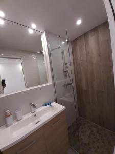 Un baño con lavabo y ducha con espejo. en Plage de la Roquille, en Cap d'Agde