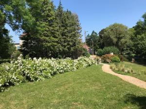 Ogród w obiekcie Le Moulin de Villiers